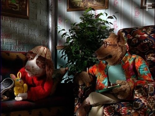 Город собак