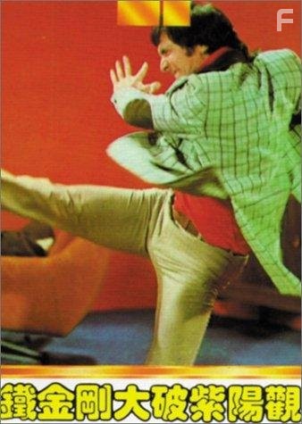 Tie jin gang da po zi yang guan (1974)