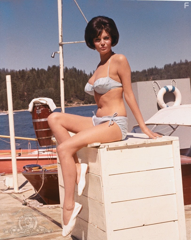 Rosemarie Frankland in I'll Take Sweden (1965)