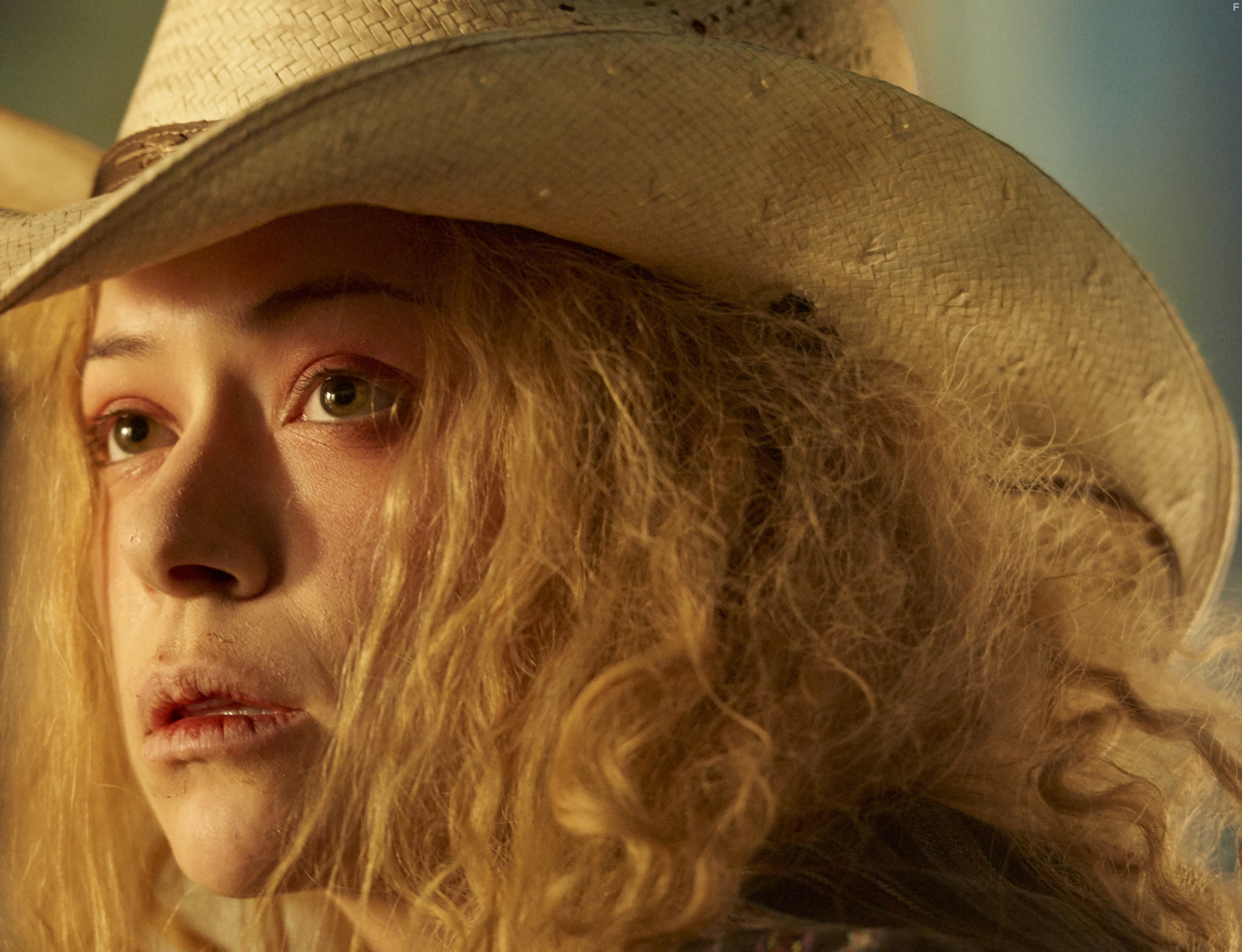 Tatiana Maslany in Тёмное дитя (2013)