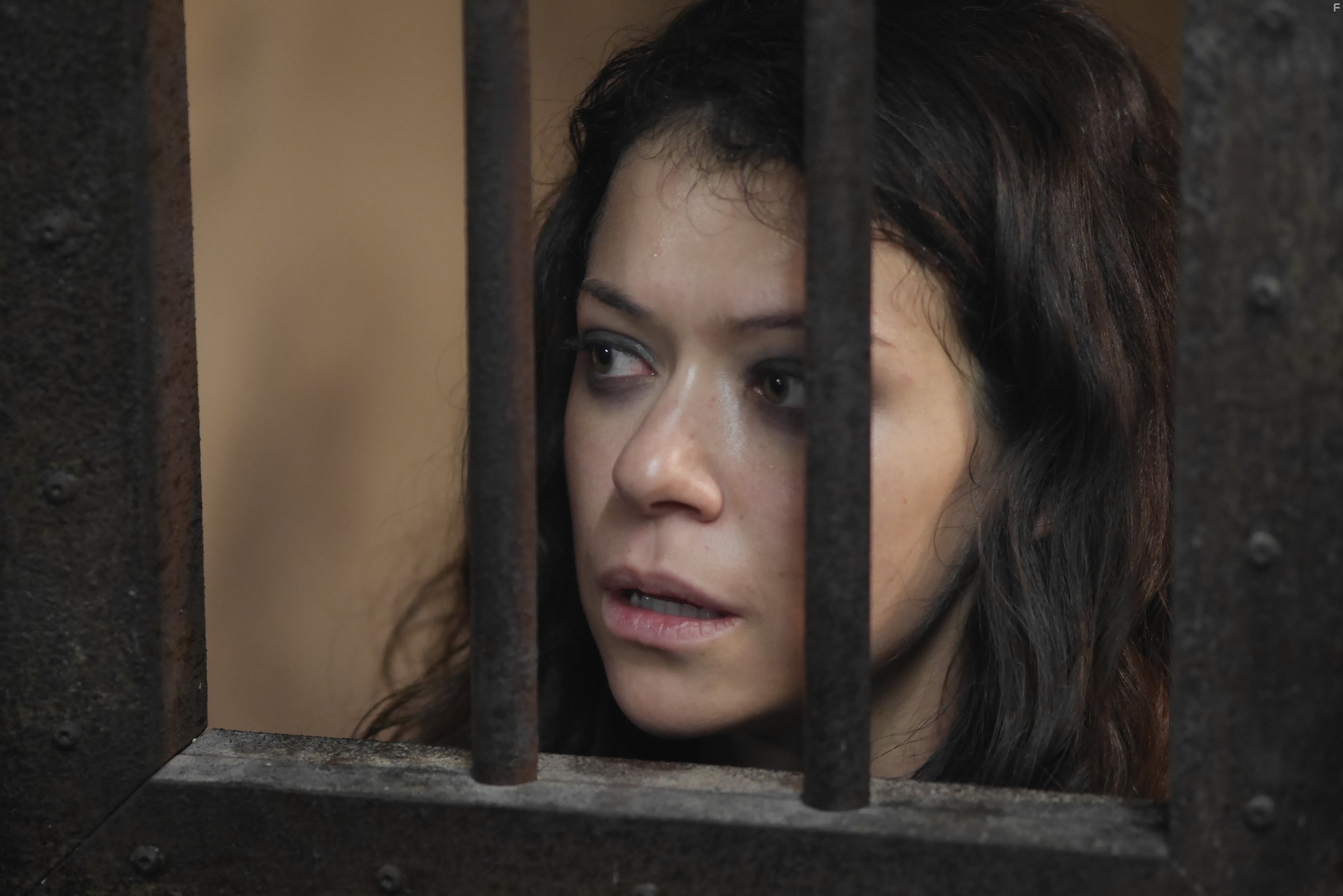 Tatiana Maslany in Тёмное дитя (2013)
