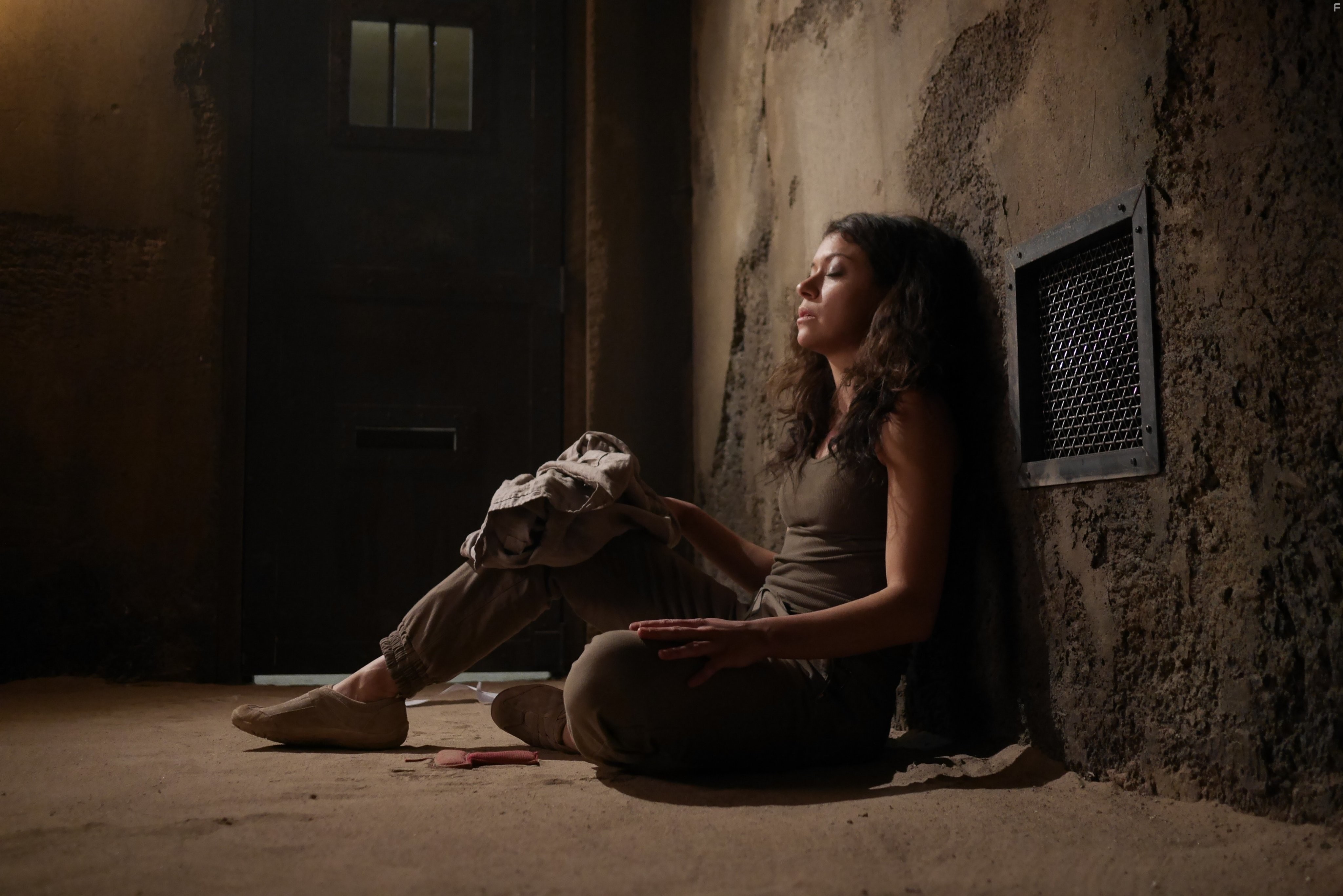 Tatiana Maslany in Тёмное дитя (2013)