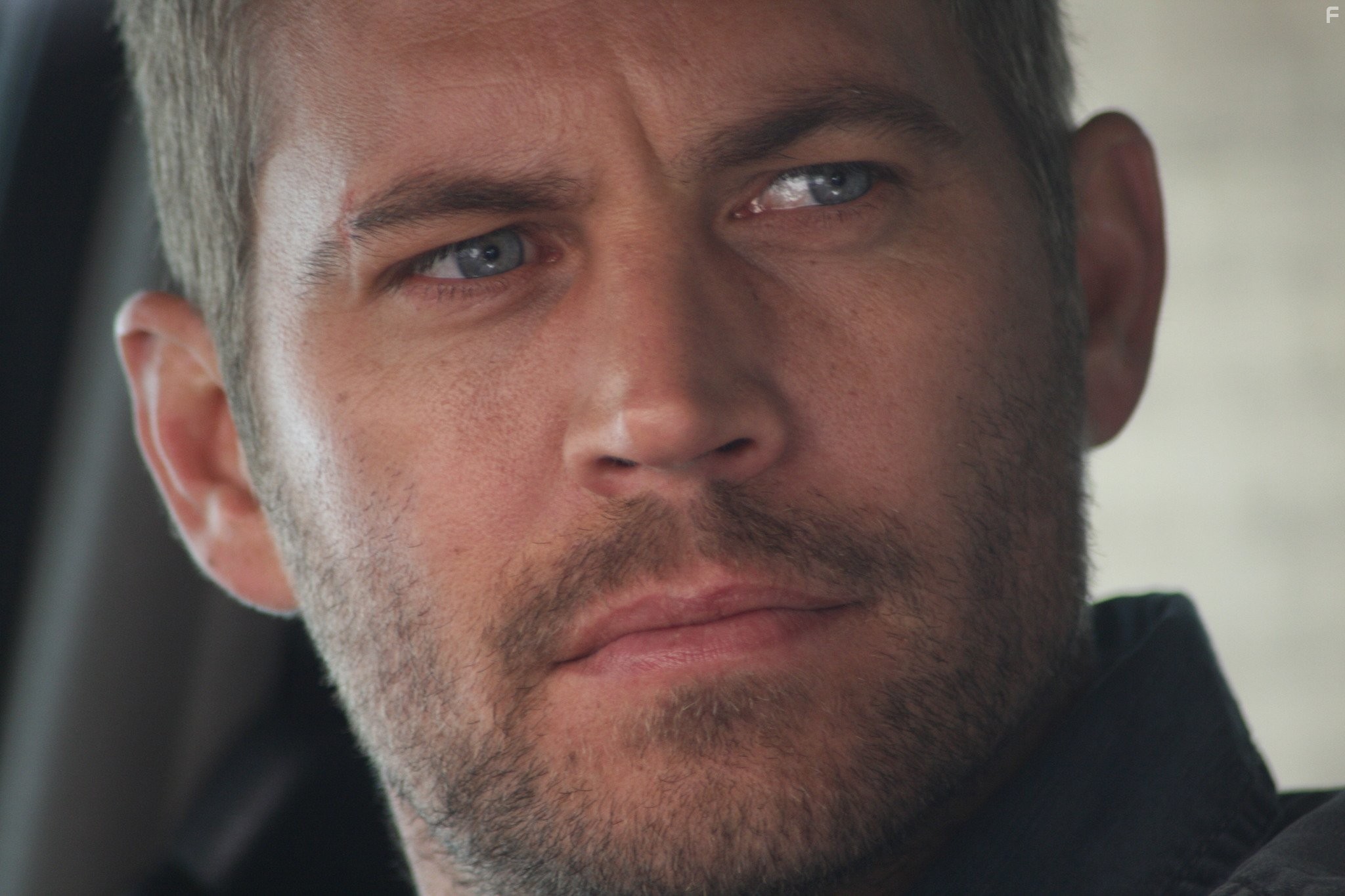 Тачка No19 (2013)