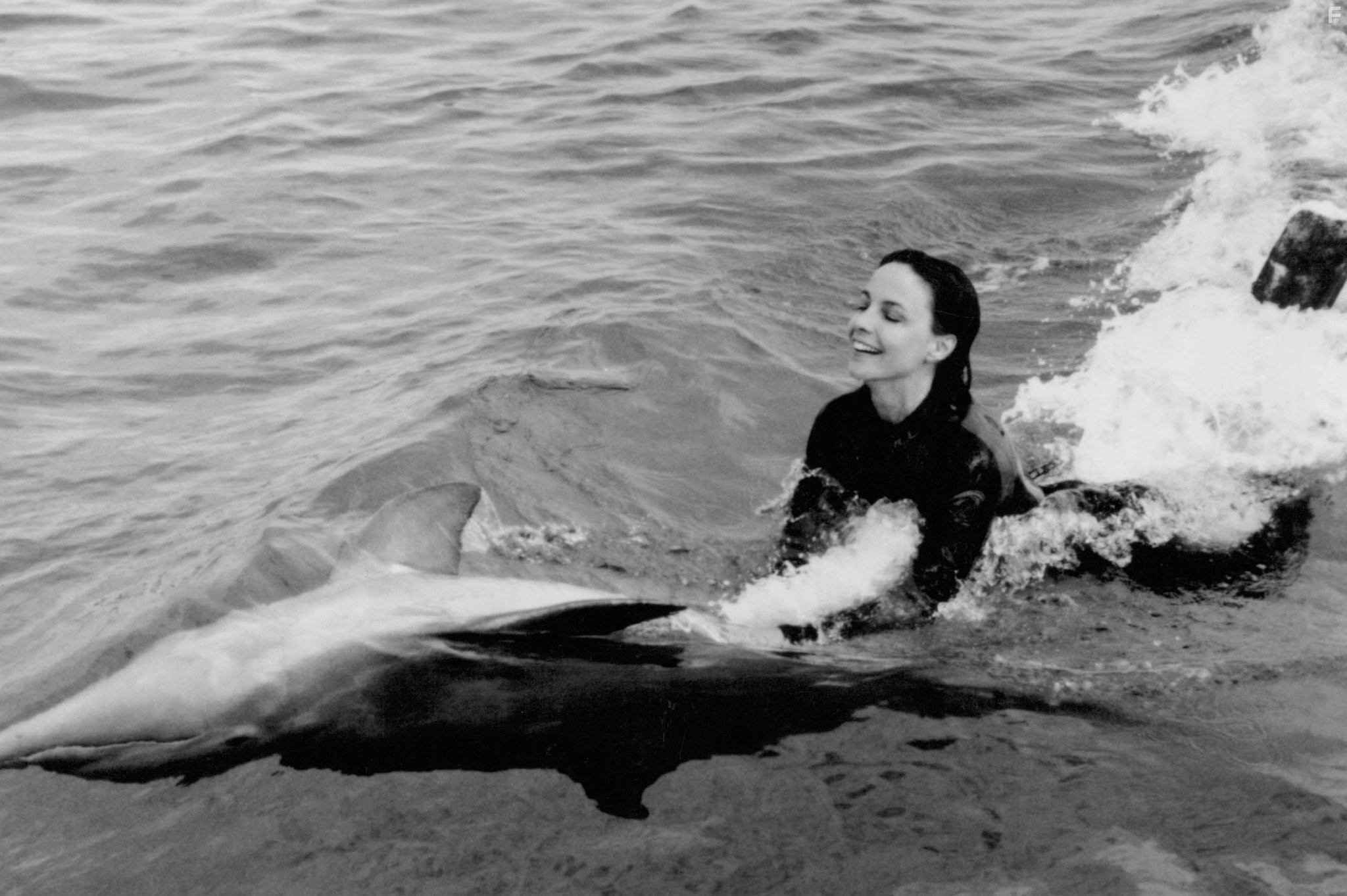 Зевс и Роксана