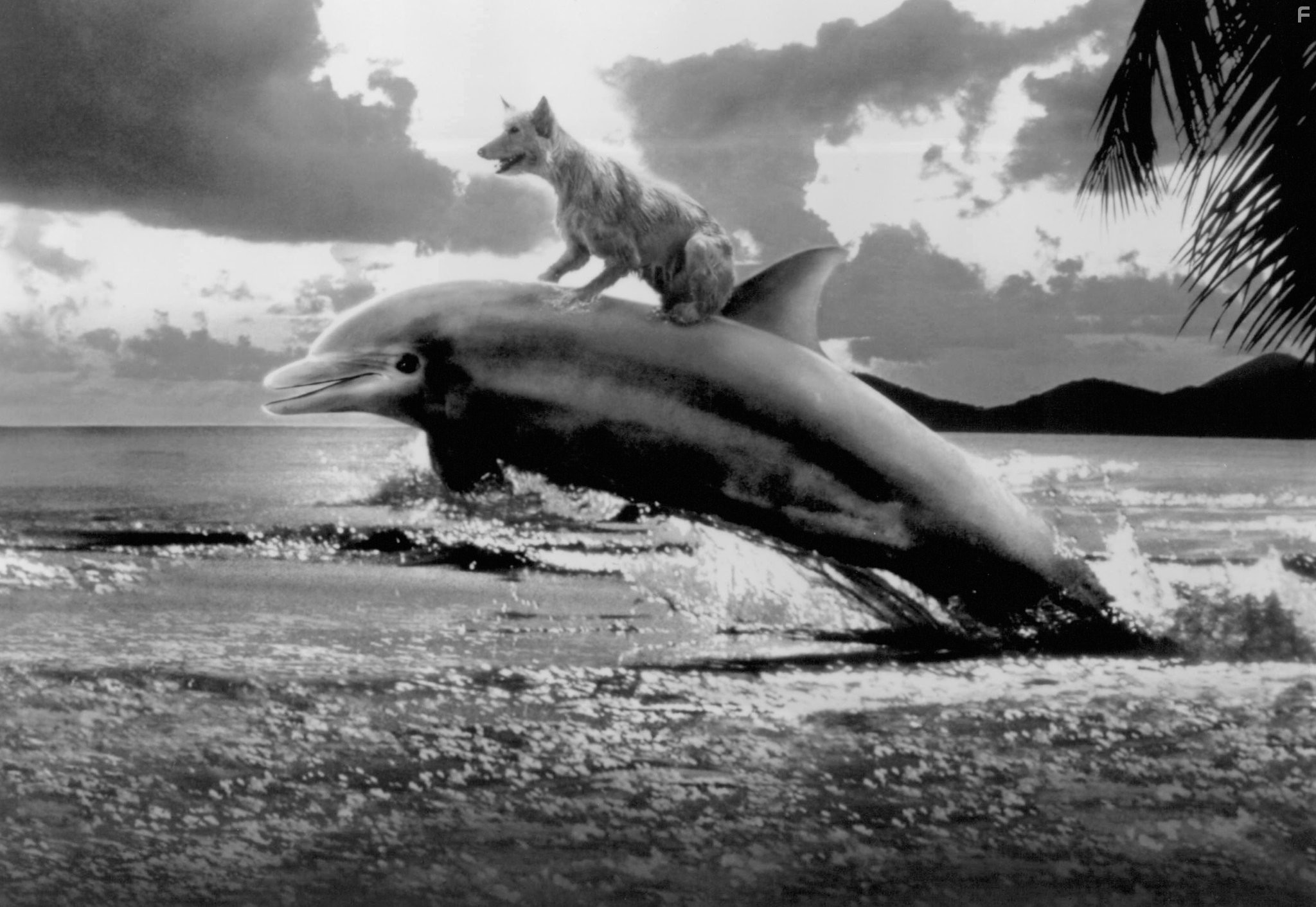 Зевс и Роксана (1997)