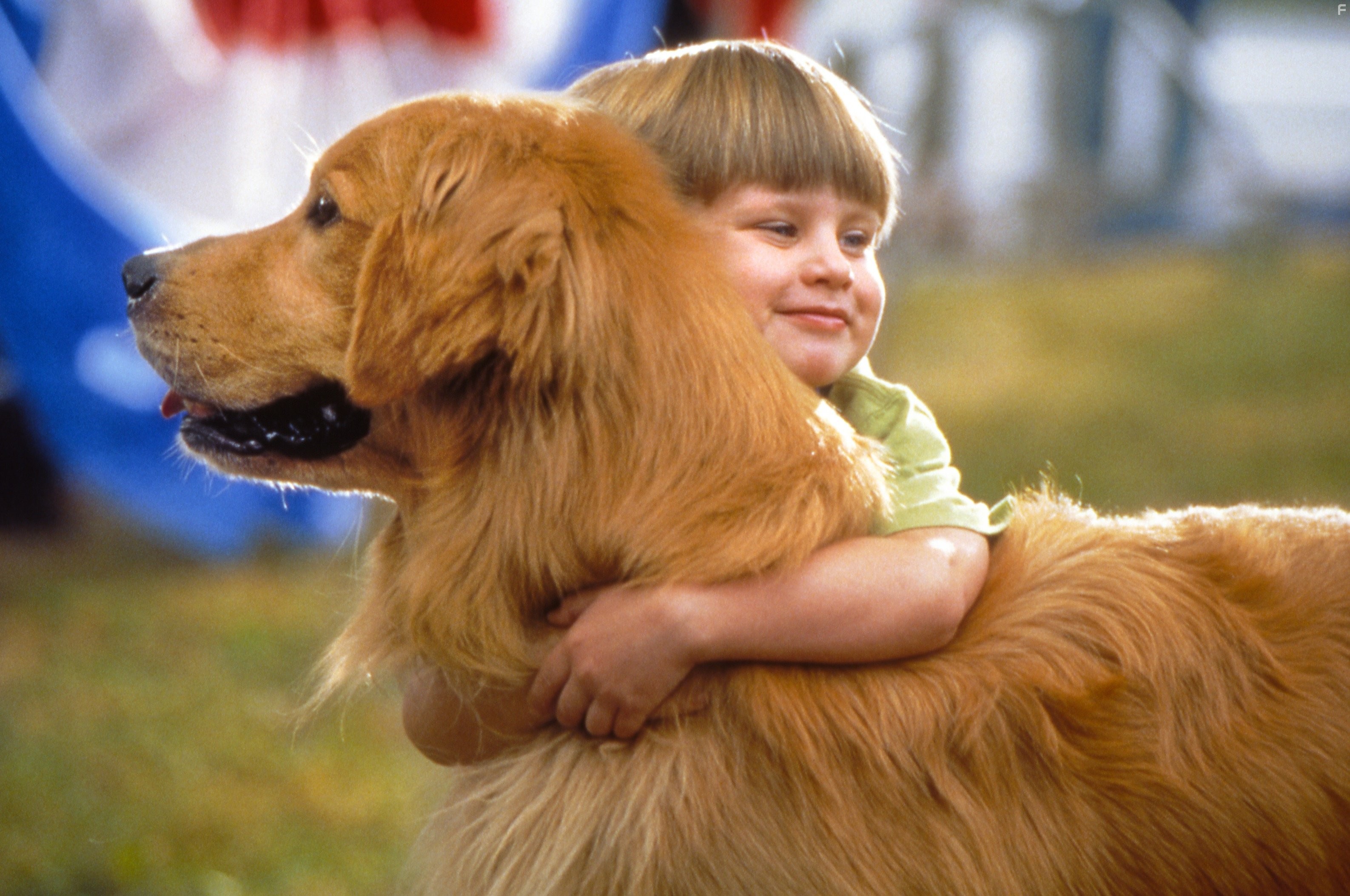 Король воздуха: возвращение (2003)