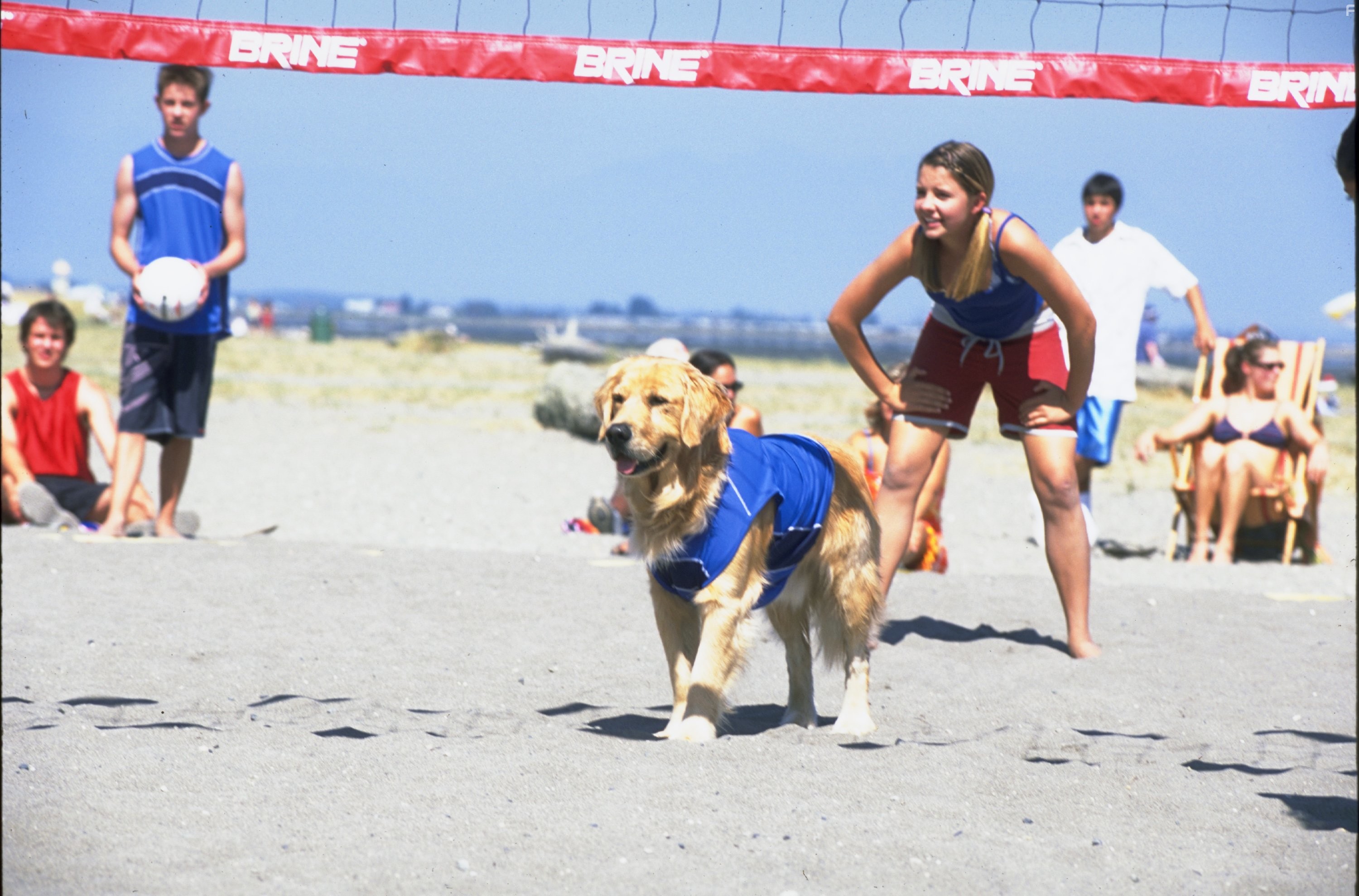 Katija Pevec in Король воздуха: возвращение (2003)