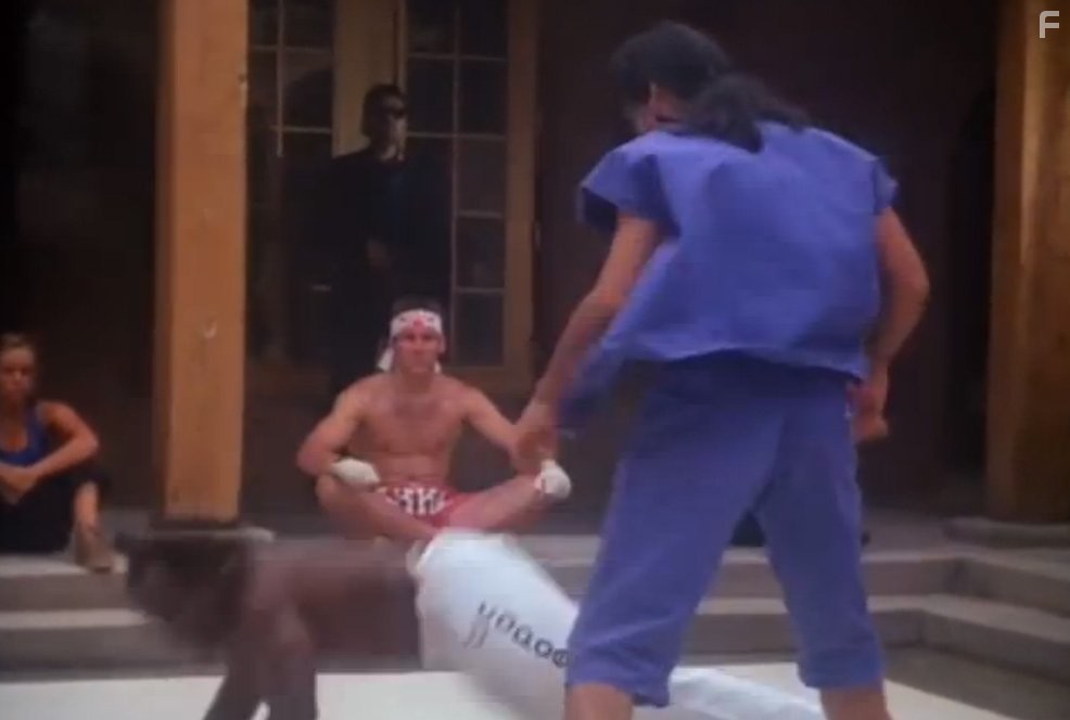 Кикбоксер 4: Агрессор (1994)