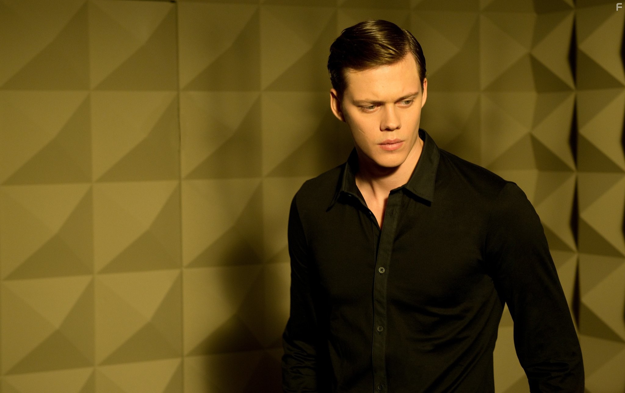 Bill Skarsg?rd in Хемлок Гроув (2013)