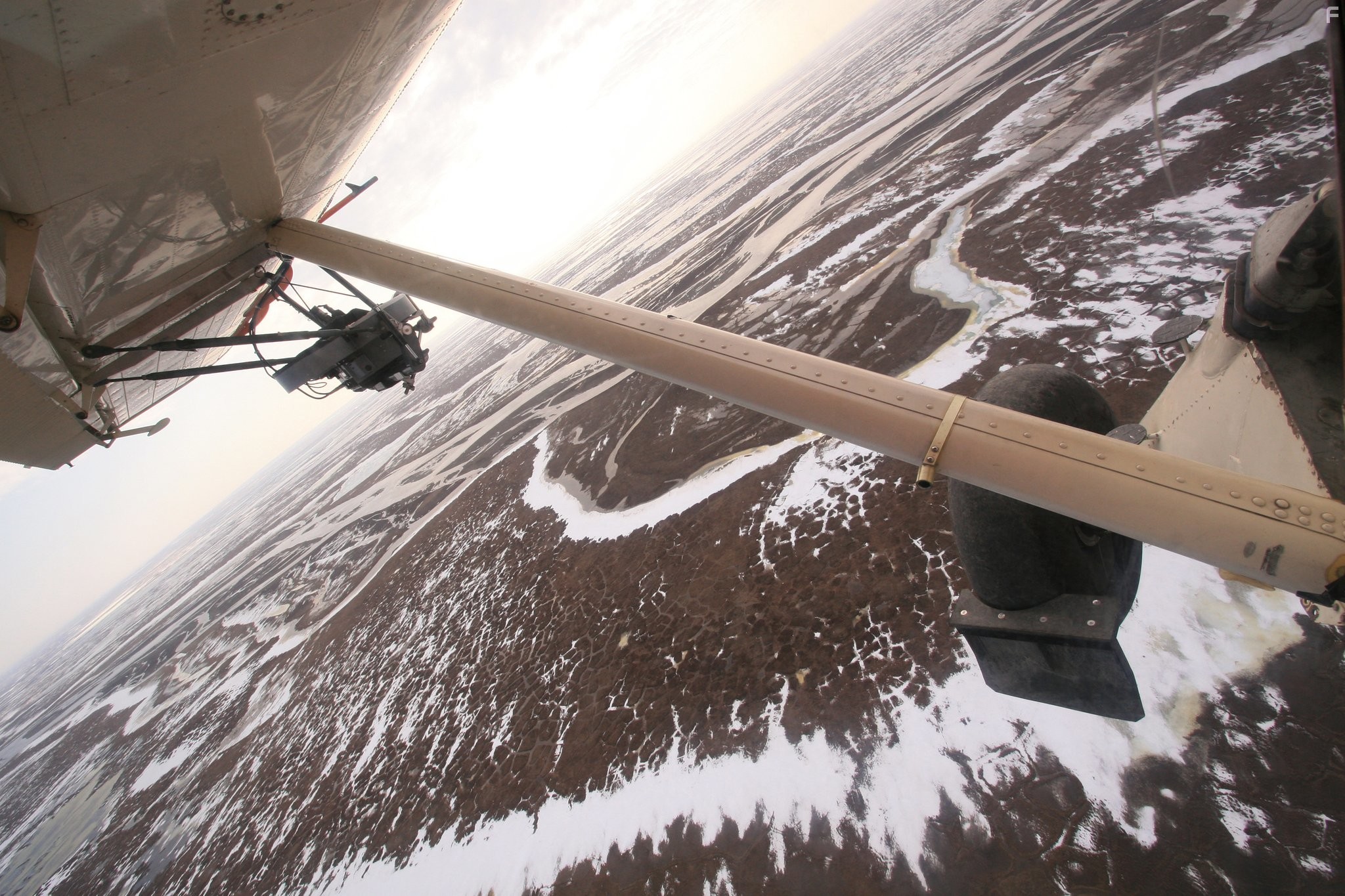 To the Arctic 3D (2012)