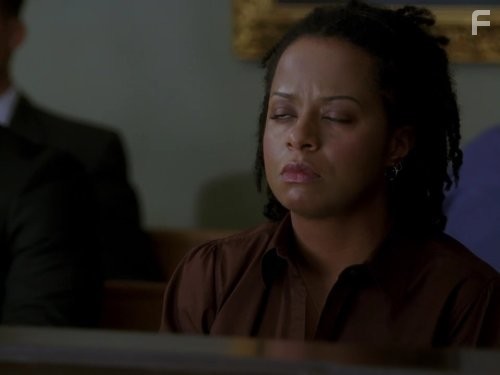 Адвокатская практика (2008)