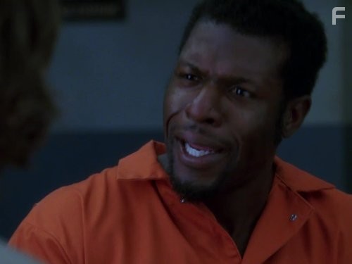 Адвокатская практика (2008)