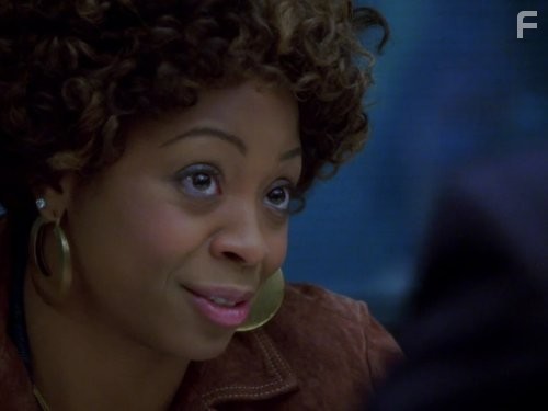 Адвокатская практика (2008)