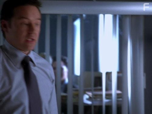 Адвокатская практика (2008)