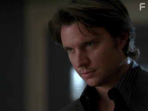 Адвокатская практика (2008)