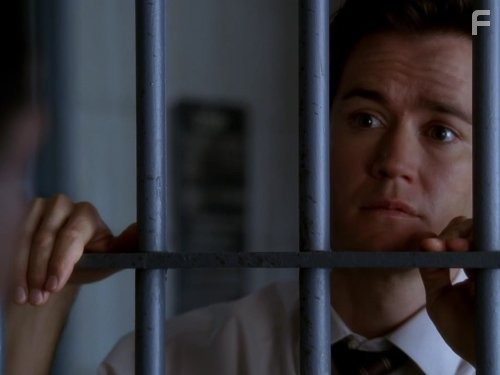 Адвокатская практика (2008)