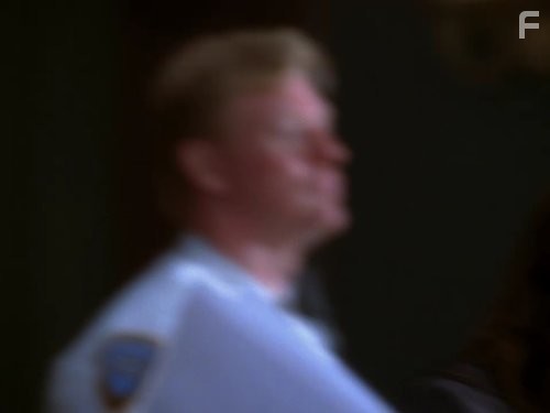 Адвокатская практика (2008)