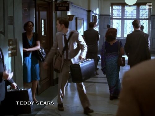 Адвокатская практика (2008)