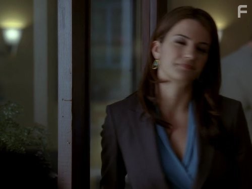 Адвокатская практика (2008)