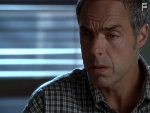 Адвокатская практика (2008)