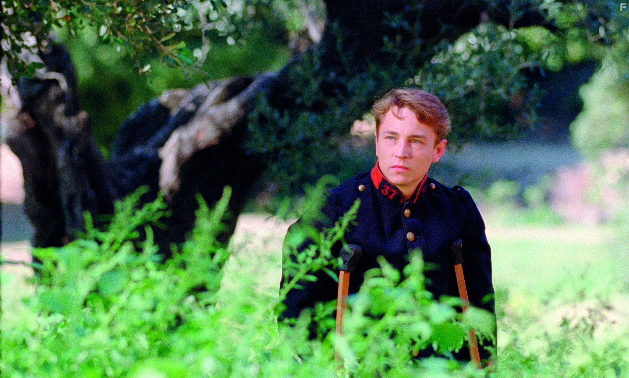 Ренуар. Последняя любовь