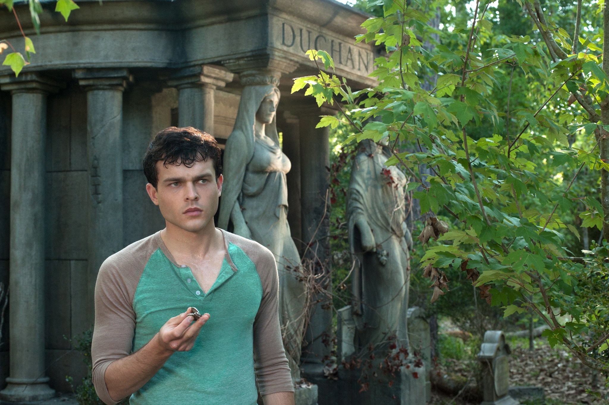 Alden Ehrenreich in Прекрасные создания (2013)