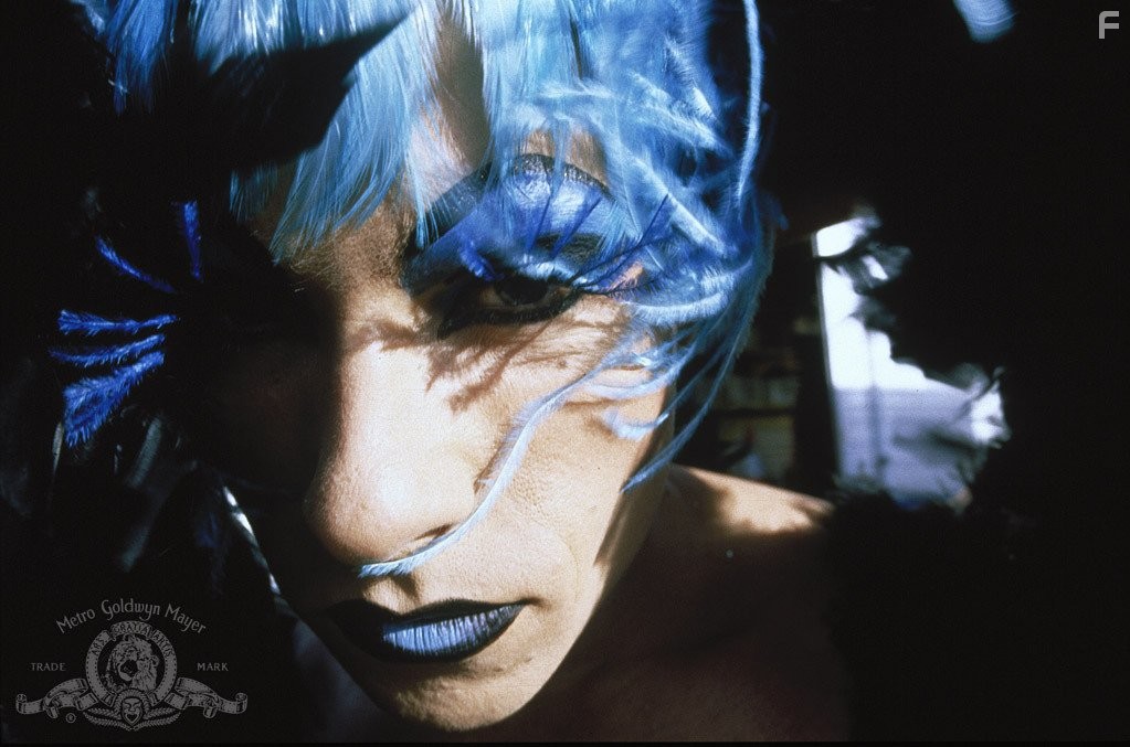 Приключения Присциллы, королевы пустыни (1994)