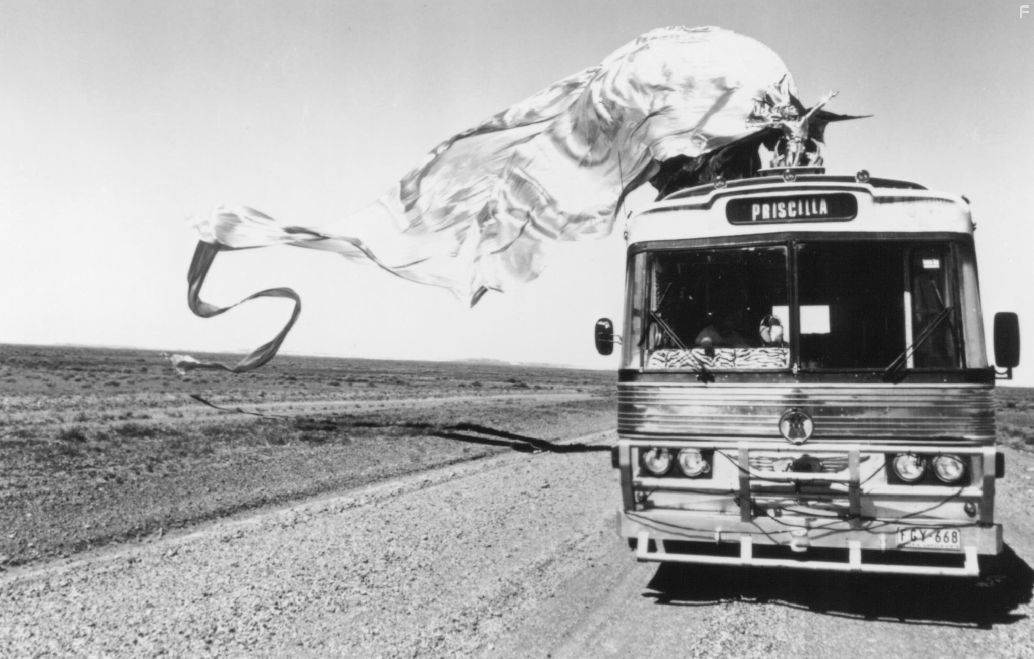 Приключения Присциллы, королевы пустыни (1994)