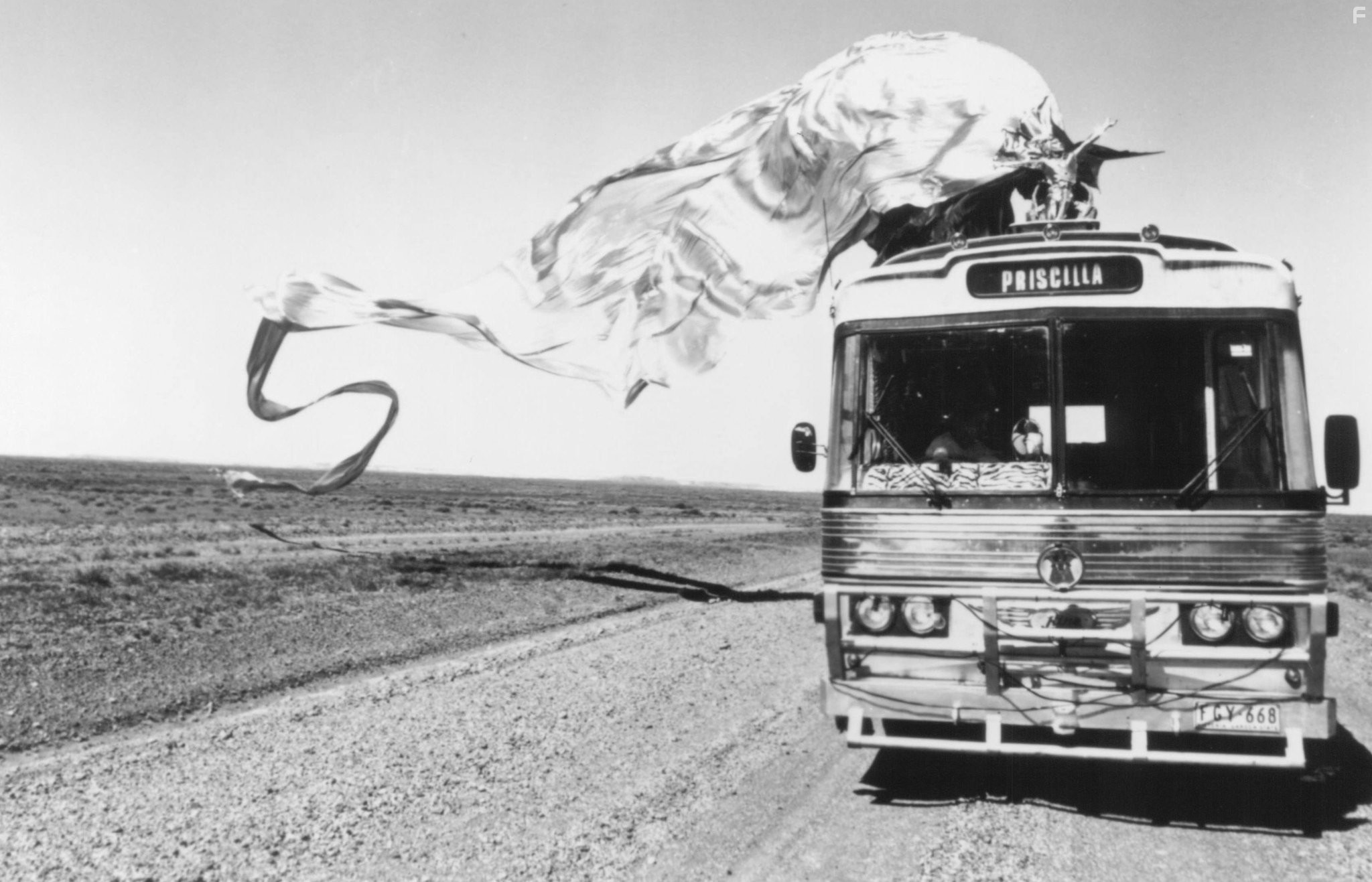 Приключения Присциллы, королевы пустыни (1994)