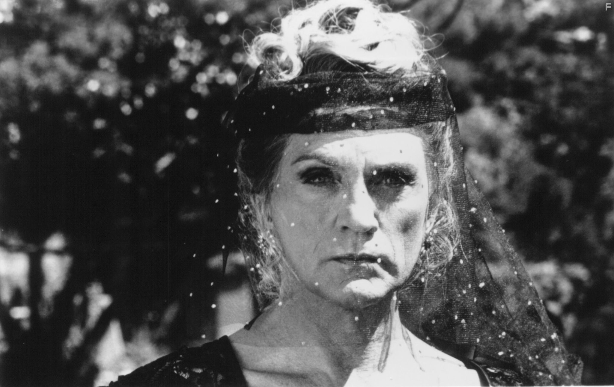 Terence Stamp in Приключения Присциллы, королевы пустыни (1994)