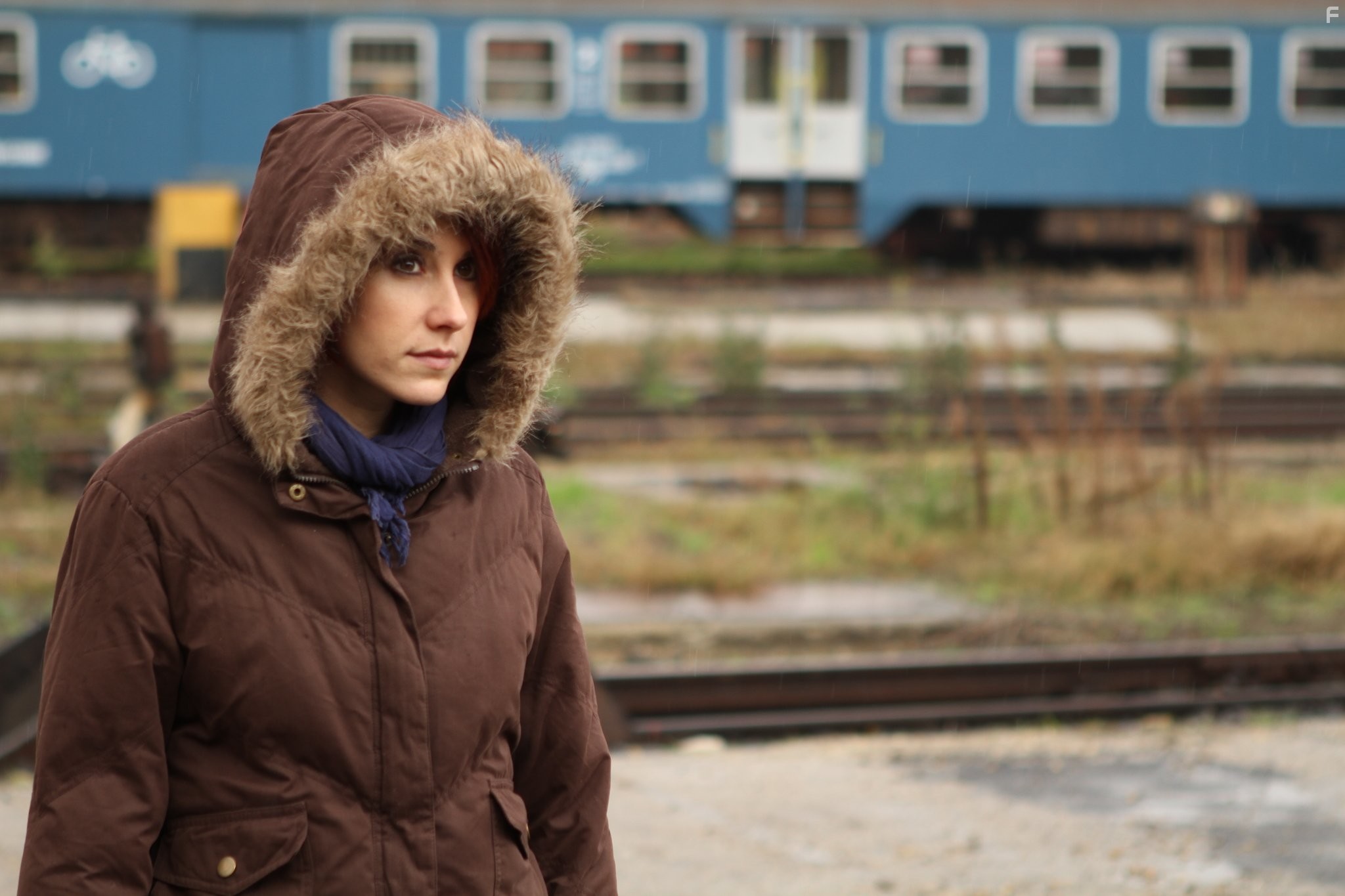 100 Degrees Below Zero (2013)