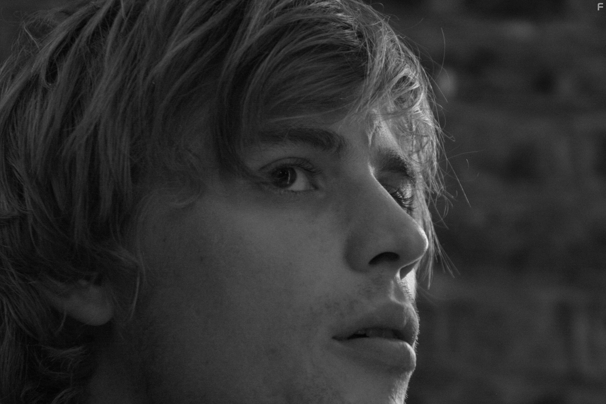 Johnny Flynn in Lotus Eaters (2011)