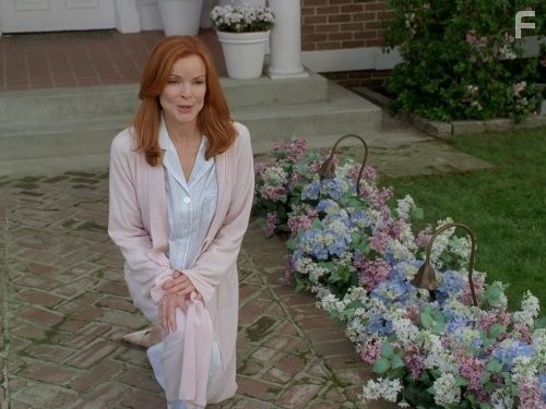 Marcia Cross in Отчаянные домохозяйки (2004)