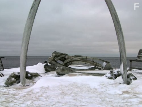 Flying Wild Alaska (2011)