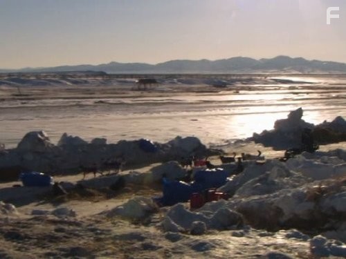 Flying Wild Alaska (2011)