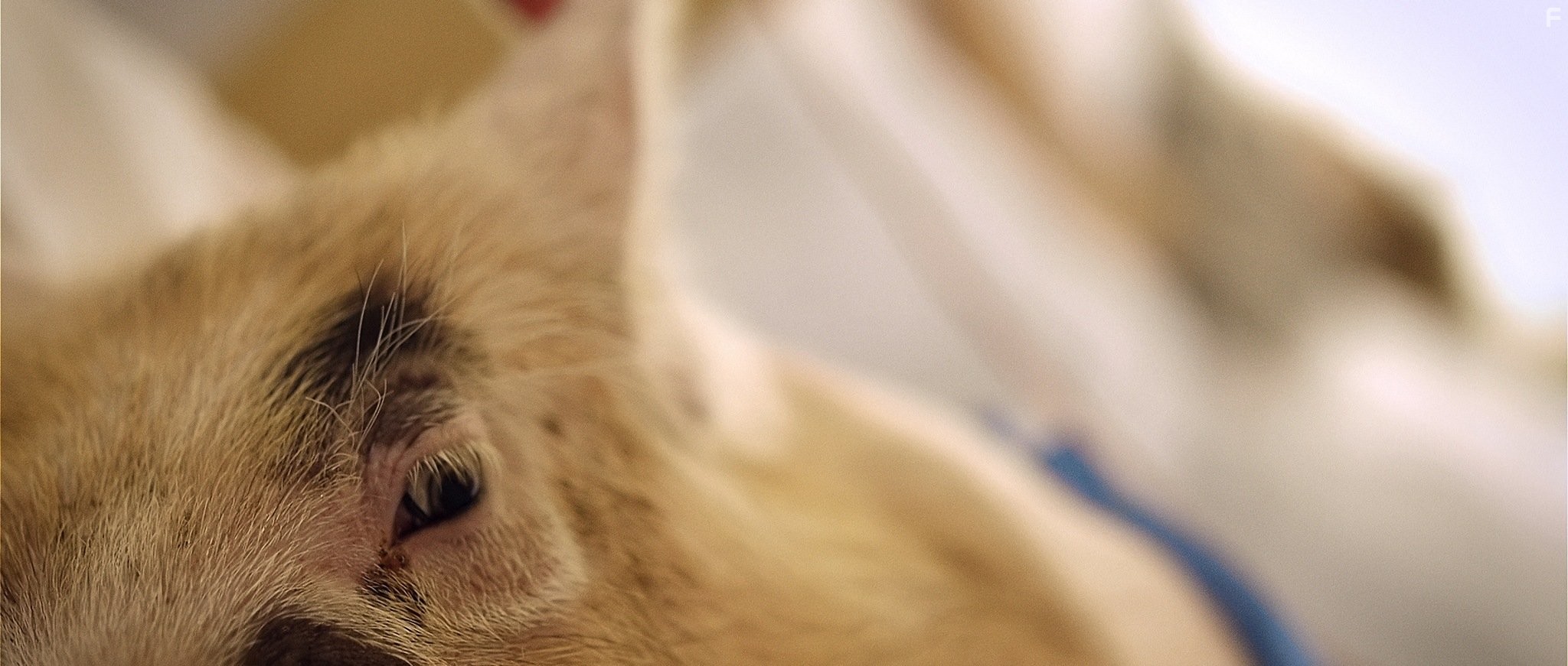 Примесь (2013)