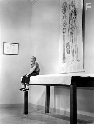 "The Incredible Shrinking Man" Grant Williams 1957 Universal