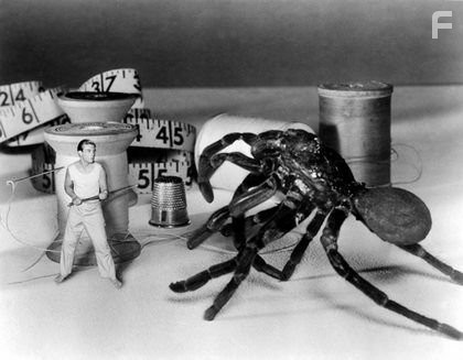 "The Incredible Shrinking Man" Grant Williams 1957 Universal