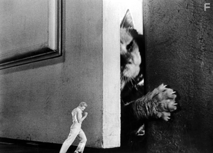 Grant Williams in Невероятно худеющий человек (1957)