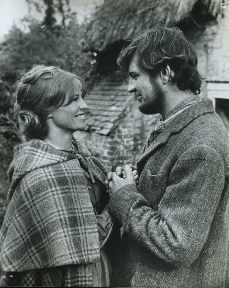 Alan Bates and Julie Christie in Вдали от безумной толпы (1967)
