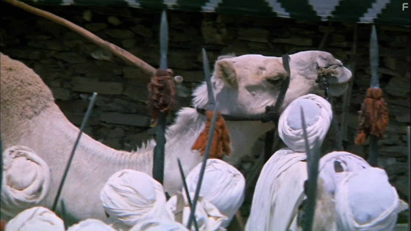 Послание (1976)