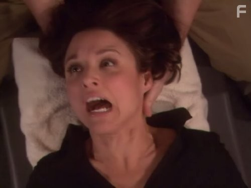 Julia Louis-Dreyfus in Новые приключения старой Кристин (2006)