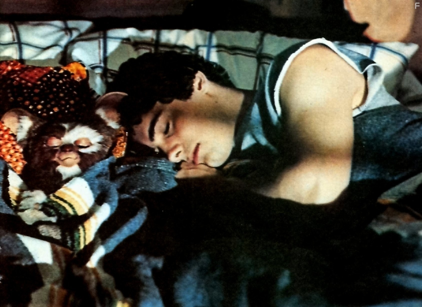 Zach Galligan in Гремлины (1984)