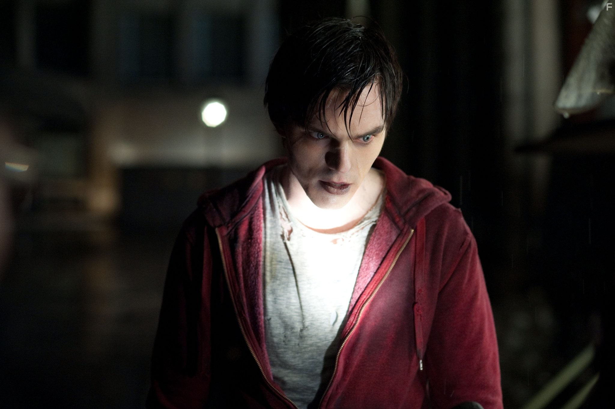 Nicholas Hoult in Тепло наших тел (2013)