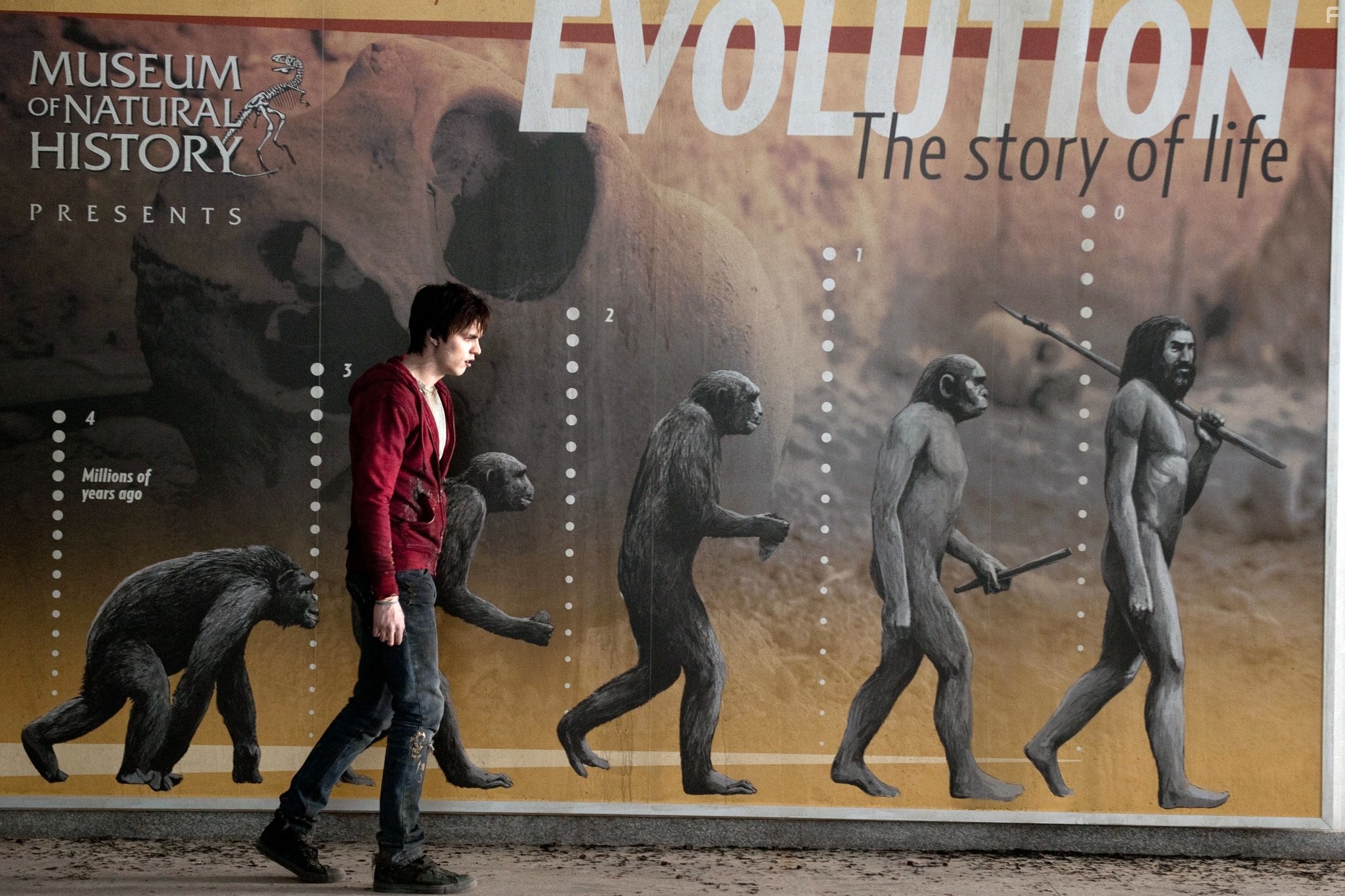 Nicholas Holt in Тепло наших тел (2013)