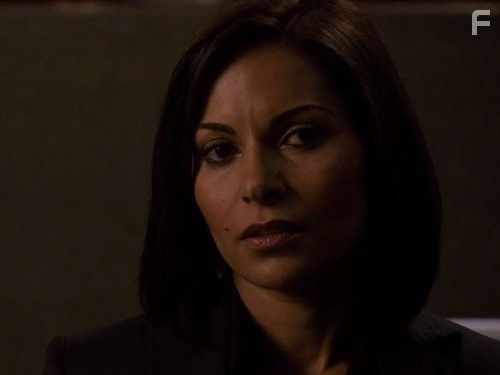 Salli Richardson-Whitfield in Эврика (2006)
