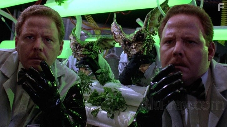 Dan Stanton and Don Stanton in Гремлины 2: Новенькая партия (1990)