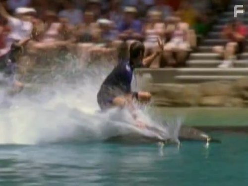 H2O: Просто добавь воды (2006)