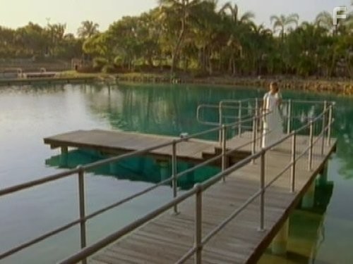 H2O: Просто добавь воды (2006)