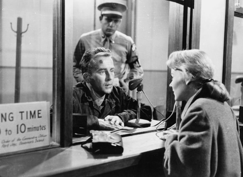 Montgomery Clift and Hope Lange in Молодые львы (1958)